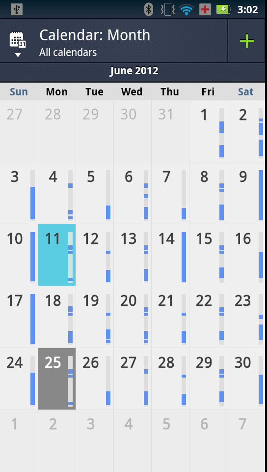 Calendar Month View